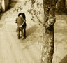 The Kiss